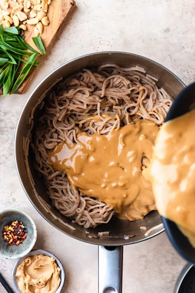 Vegan Veggie Peanut Satay Noodle Sauce #satay #peanut #noodles #vegan #vegetarian