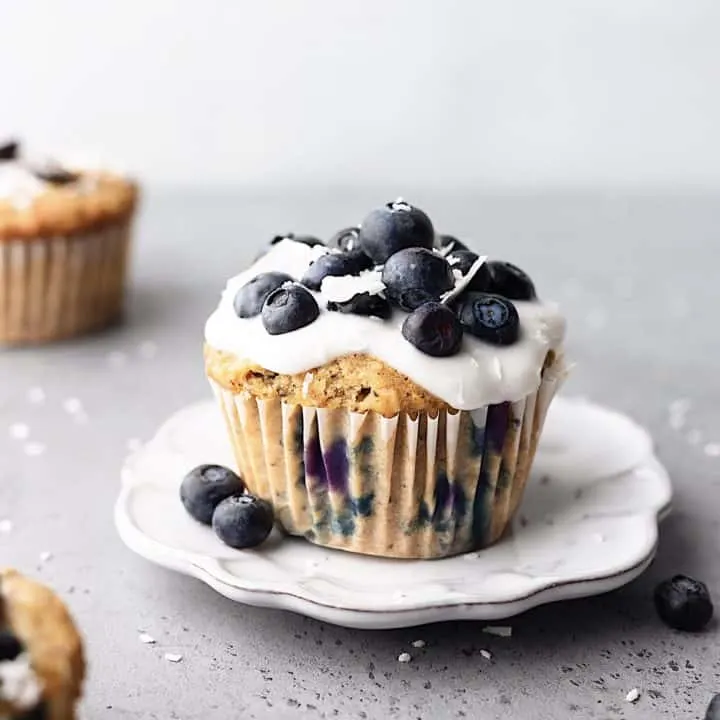 Vegan Blueberry Coconut Muffins