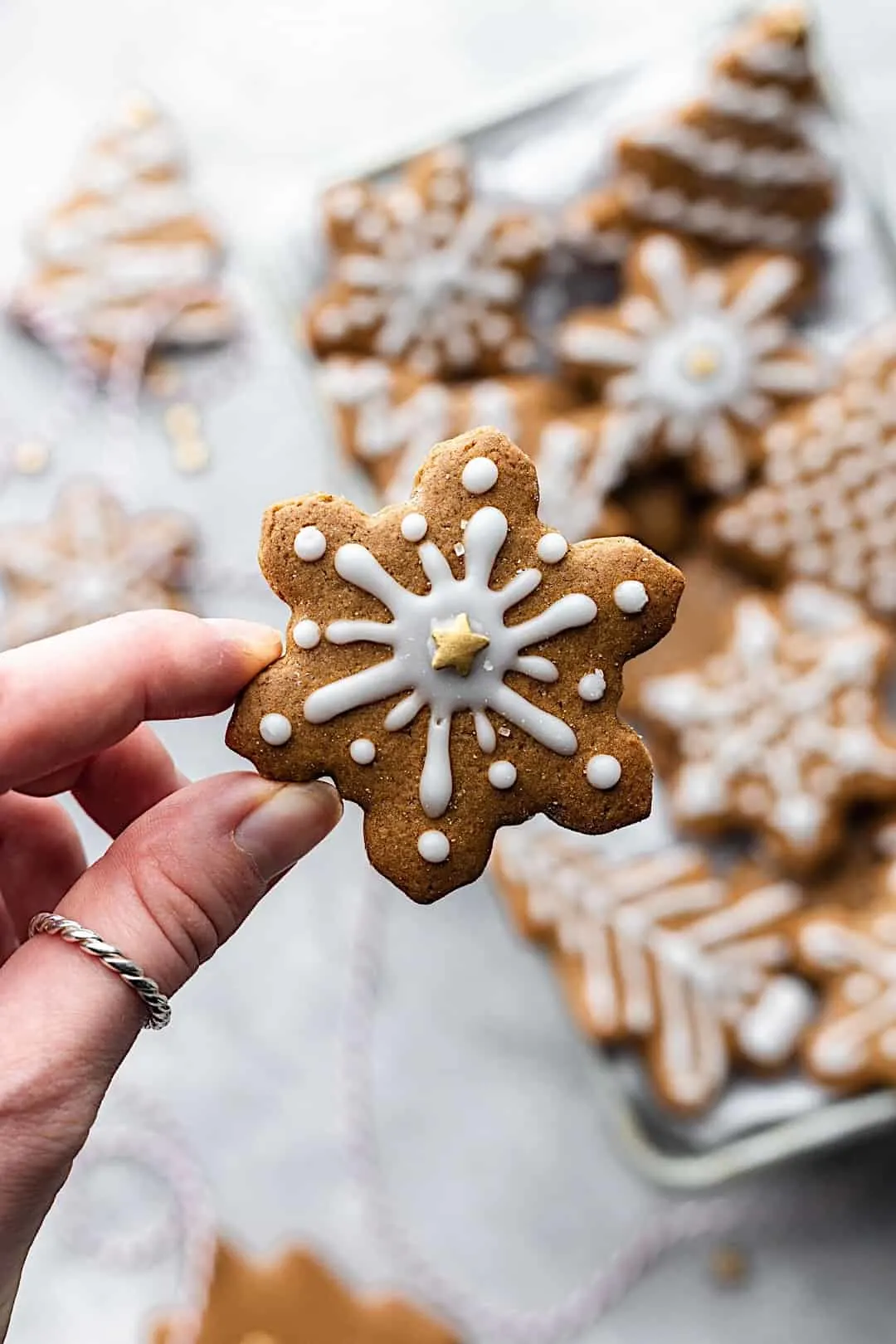 Easy Vegan Gingerbread Cookies #gingerbread #chistmas #vegan #cookies #biscuits #dairyfree