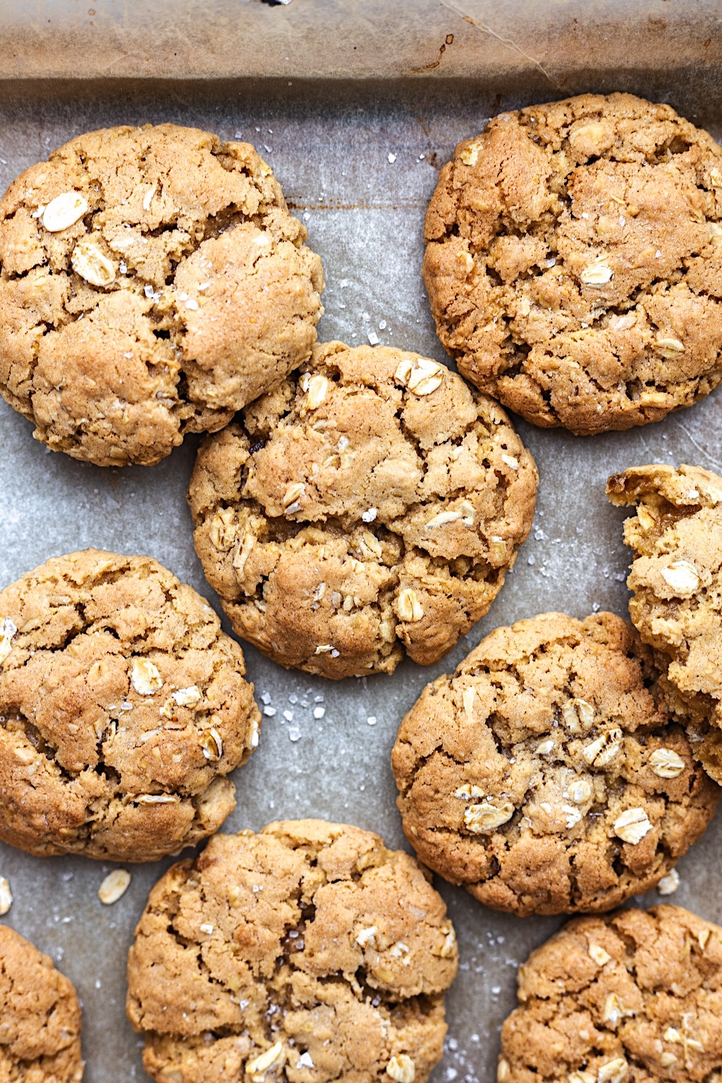 Vegan Chewy Oat Cookies #vegan #oat #cookie #recipe #easy #dairyfree #eggfree