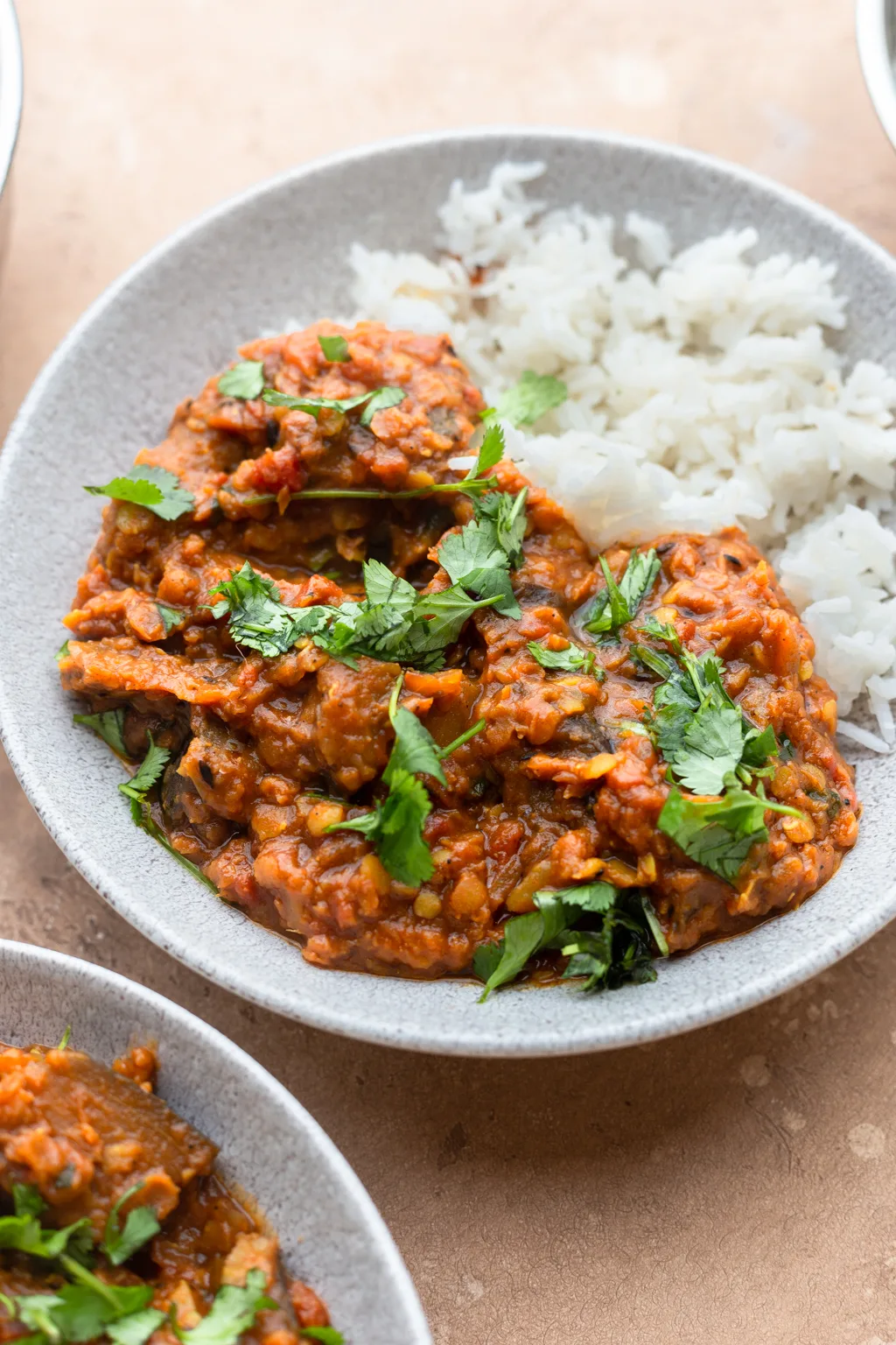 Vegan Aubergine Eggplant Dhansak Curry #curry #indian #vegan #vegetarian #lentil #eggplant #aubergine