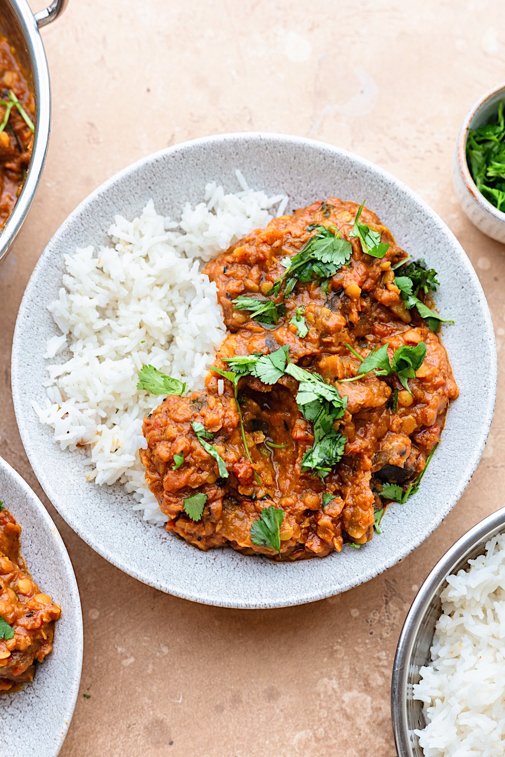 Vegan Aubergine Eggplant Dhansak Curry #curry #indian #vegan #vegetarian #lentil #eggplant #aubergine